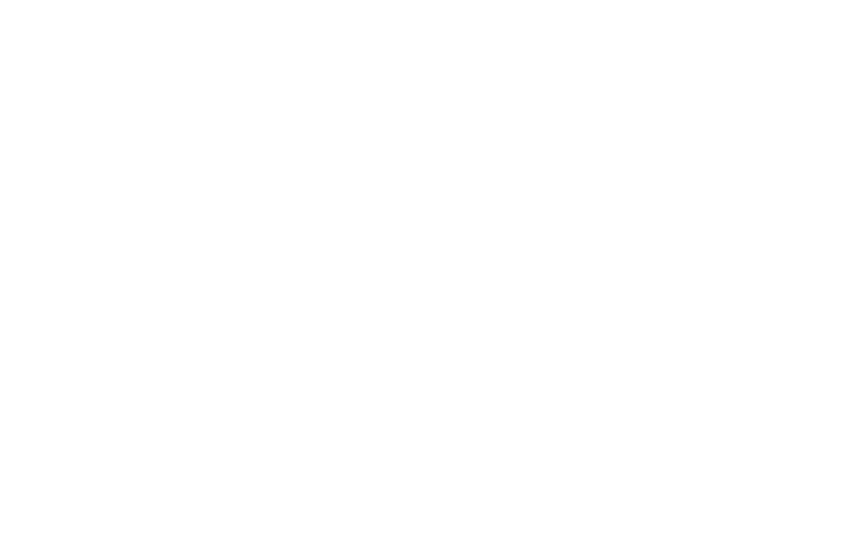 Europe Music Awards HONORABLE MENTION weiß